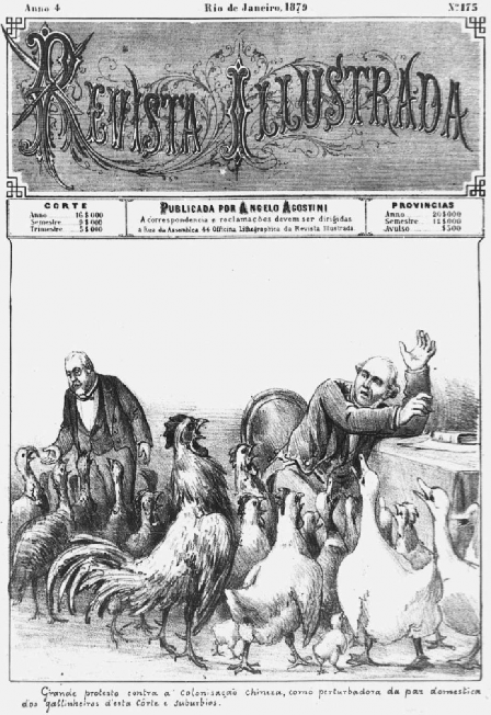 Figura 3 – “Grande protesto contra a colonização chinesa, como perturbadora da paz doméstica dos galinheiros desta Corte e subúrbios”. Revista llustrada, ago. 1879, Rio de Janeiro p. 1.